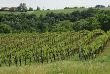 degustazione cerveteri rosso